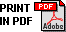 Print in PDF